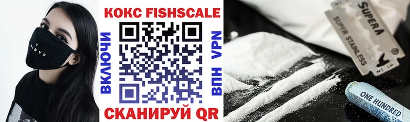 Купить где  Петухово  КОКАИН Fish Scale 